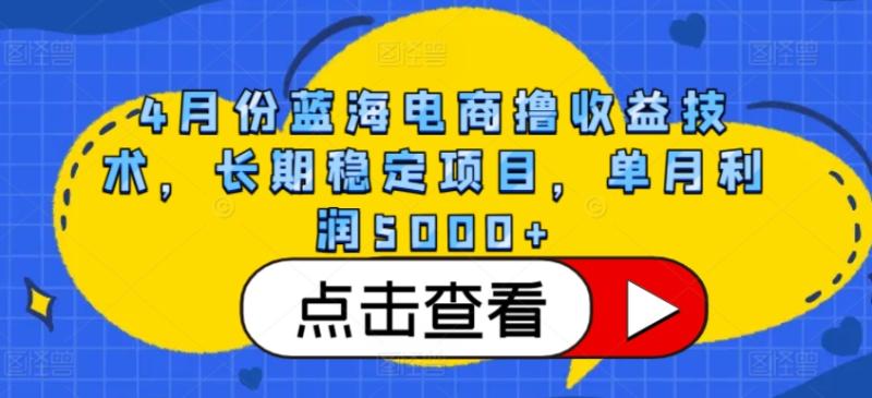 图片[1]-4月份蓝海电商撸收益技术，长期稳定项目，单月利润5000+-蛙蛙资源网