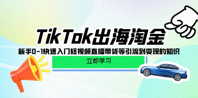 图片[1]-（10035期）TikTok-出海淘金，新手0-1快速入门短视频直播带货等引流到变现的知识-蛙蛙资源网