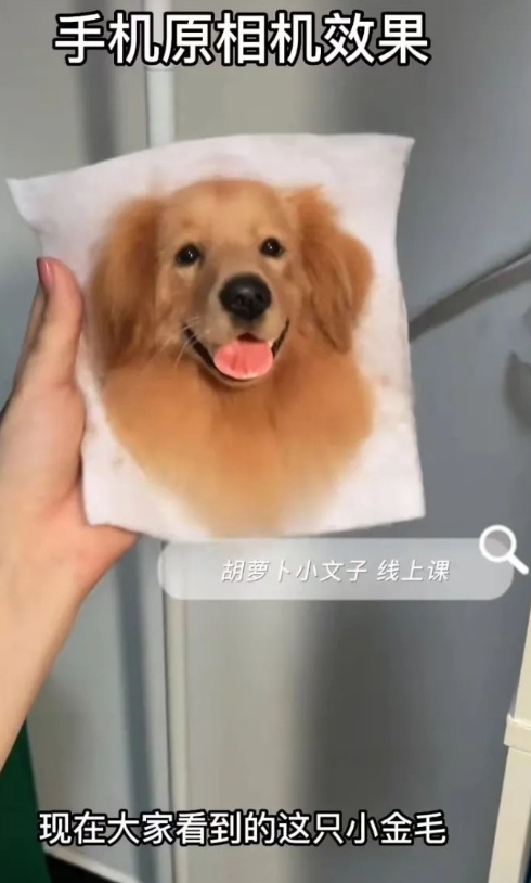 抖音手工羊毛毡项目，小成本副业，年赚100W的蓝海项目