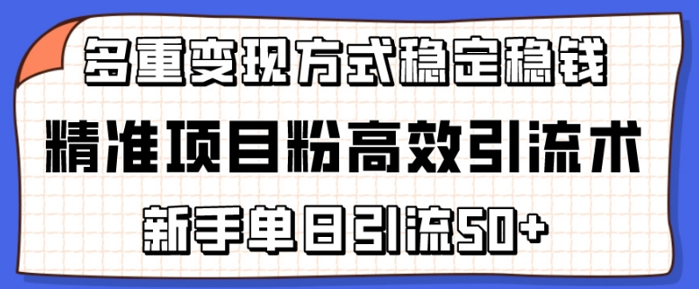 图片[1]-精准项目粉高效引流术，新手单日引流50+，多重变现方式稳定赚钱-蛙蛙资源网