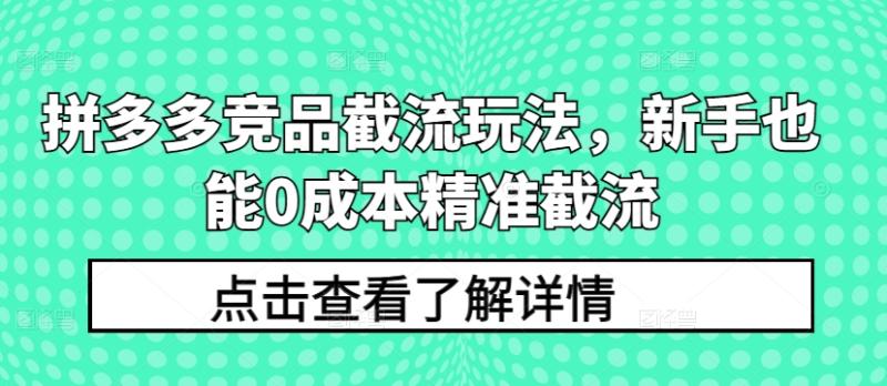 图片[1]-拼多多竞品截流玩法，新手也能0成本精准截流-蛙蛙资源网