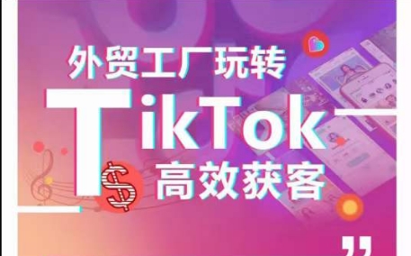 图片[1]-外贸工厂玩转TikTok高效获客，多种引流方式与账号定位技巧，拆解爆款短视频打造成功案例-蛙蛙资源网