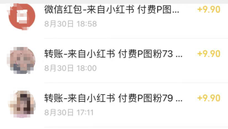 小红书P掉路人项目：引流私域，轻松月入9.9元，快速P图方法