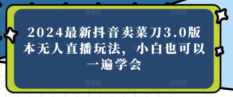 图片[1]-2024最新抖音卖菜刀3.0版本无人直播玩法，小白也可以一遍学会-蛙蛙资源网