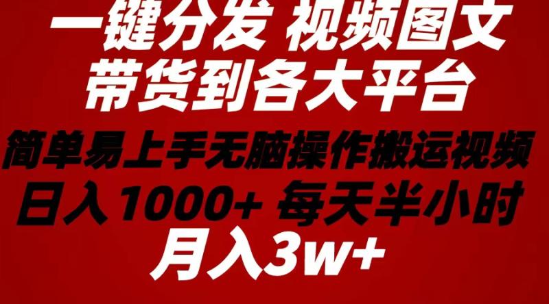（10667期）2024年 一键分发带货图文视频  简单易上手 无脑赚收益 每天半小时日入1000+上不封顶！