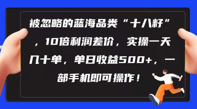 图片[1]-（10696期）被忽略的蓝海品类“十八籽”，10倍利润差价，实操一天几十单 单日收益500+-蛙蛙资源网