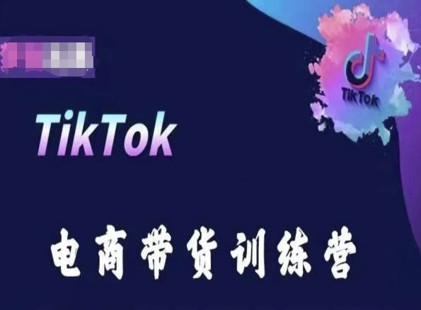 图片[1]-TikTok电商带货训练营，跟随时代潮流，跨境掘金-蛙蛙资源网