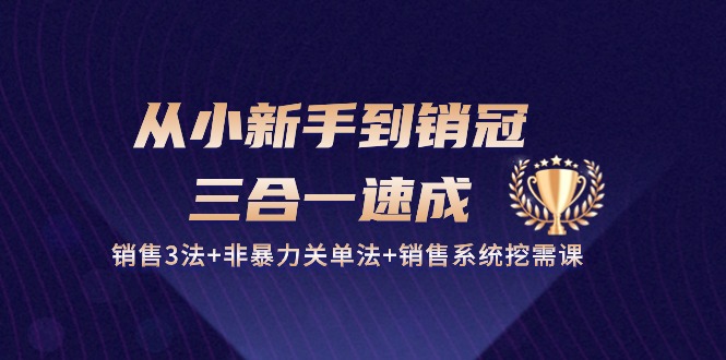 图片[1]-（10799期）从小新手到销冠 三合一速成：销售3法+非暴力关单法+销售系统挖需课 (27节)-蛙蛙资源网