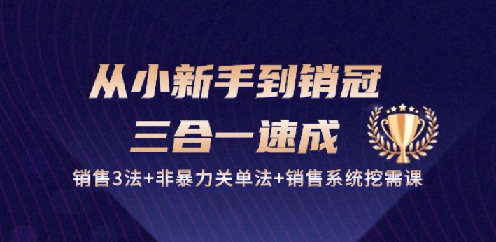 图片[1]-从小新手到销冠 三合一速成：销售3法+非暴力关单法+销售系统挖需课 (27节)-蛙蛙资源网