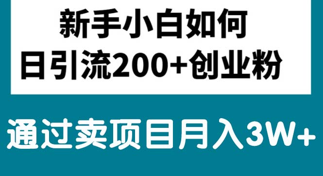 图片[1]-（10843期）新手小白日引流200+创业粉,通过卖项目月入3W+-蛙蛙资源网