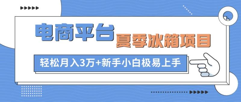 图片[1]-（10934期）电商平台夏季冰箱项目，轻松月入3万+，新手小白极易上手-蛙蛙资源网