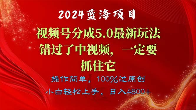 图片[1]-（11032期）2024蓝海项目，视频号分成计划5.0最新玩法，错过了中视频，一定要抓住它-蛙蛙资源网