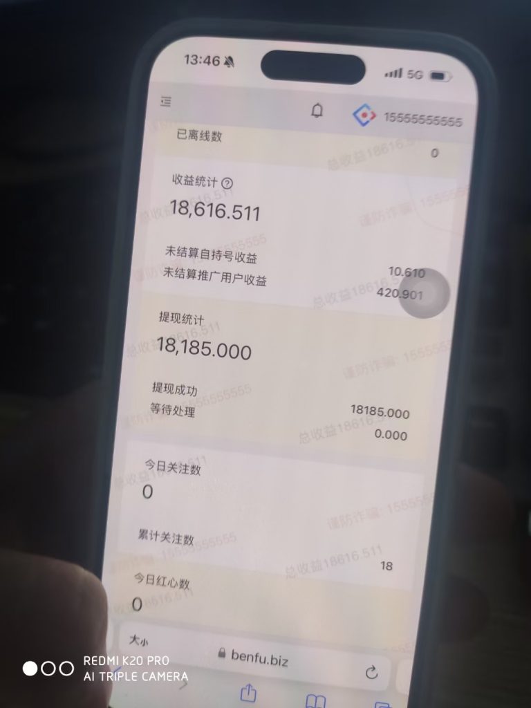 零撸项目，全自动挂机项目