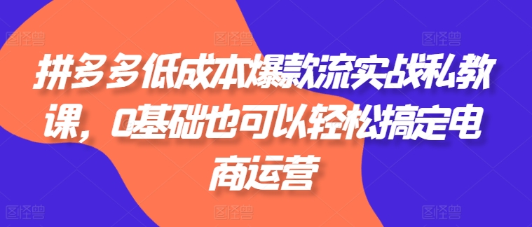 图片[1]-拼多多低成本爆款流实战私教课，0基础也可以轻松搞定电商运营-蛙蛙资源网