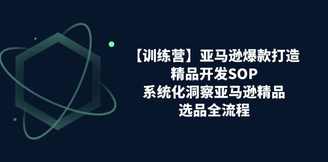 图片[1]-亚马逊爆款打造之精品开发SOP【训练营】，系统化洞察亚马逊精品选品全流程-蛙蛙资源网