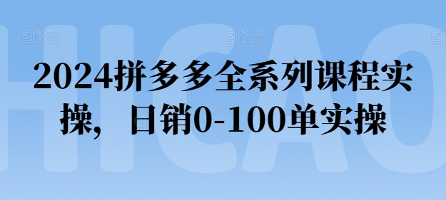 图片[1]-2024拼多多全系列课程实操，日销0-100单实操【必看】-蛙蛙资源网