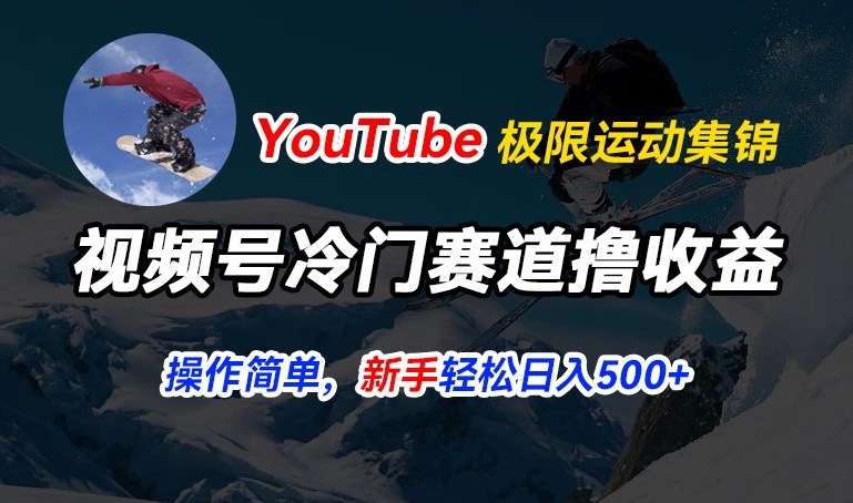 图片[1]-视频号冷门赛道撸收益，YouTube搬运极限运动集锦，暴力起号，操作简单流量高，轻松日入5张【揭秘】-蛙蛙资源网