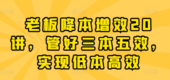 图片[1]-老板降本增效20讲，管好三本五效，实现低本高效-蛙蛙资源网