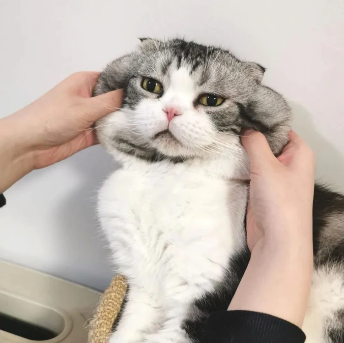 成本800元,一年能挣1000000!大热门生意,原来都这样赚钱! 成本800元,一年能挣1000000!大热门生意,原来都这样赚钱!