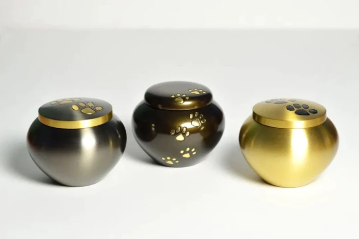 成本800元,一年能挣1000000!大热门生意,原来都这样赚钱! 成本800元,一年能挣1000000!大热门生意,原来都这样赚钱!