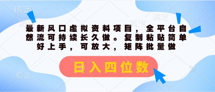 （11509期）最新风口虚拟资料项目，全平台自然流可持续长久做。复制粘贴 日入四位数-1