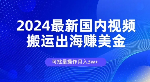 图片[1]-2024最新国内视频搬运出海赚美金，可批量操作月入3w-蛙蛙资源网