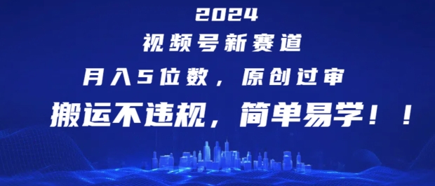 图片[1]-2024视频号新赛道，月入5位数+，原创过审，搬运不违规，简单易学【揭秘】-蛙蛙资源网