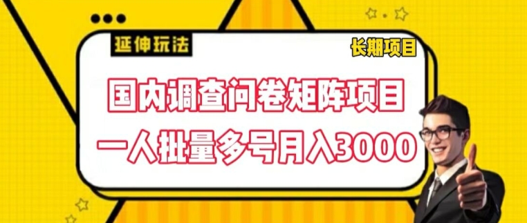 图片[1]-国内调查问卷矩阵项目，一人批量多号月入3000【揭秘】-蛙蛙资源网