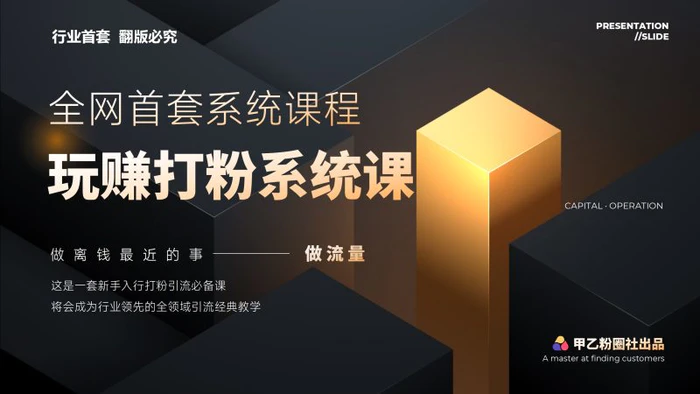 （12037期）全网首套系统打粉课，日入3000+，手把手各行引流SOP团队实战教程-1