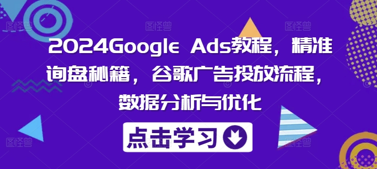 图片[1]-2024Google Ads教程，精准询盘秘籍，谷歌广告投放流程，数据分析与优化-蛙蛙资源网