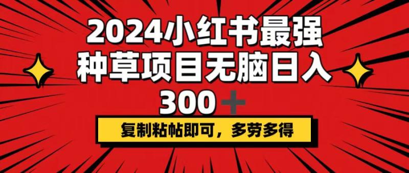 图片[1]-（12336期）2024小红书最强种草项目，无脑日入300+，复制粘帖即可，多劳多得-蛙蛙资源网