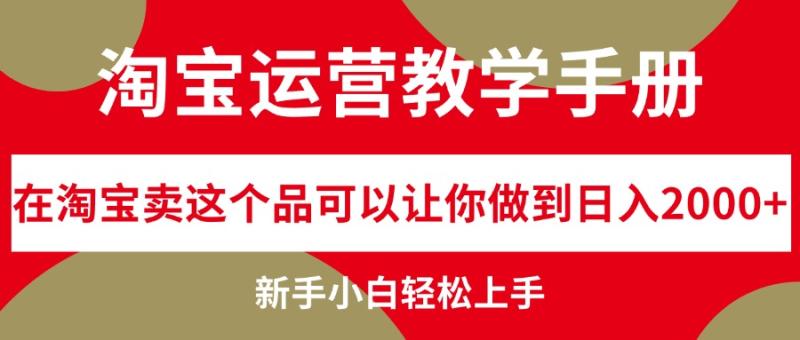 （12351期）淘宝运营教学手册，在淘宝卖这个品可以让你做到日入2000+，新手小白轻松上手