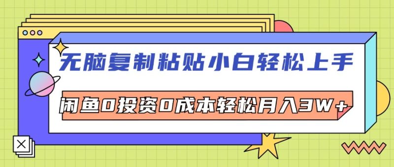 （12432期）无脑复制粘贴，小白轻松上手，电商0投资0成本轻松月入3W+-1