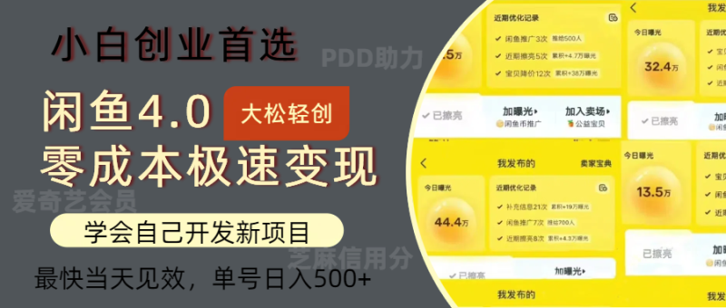 （12434期）闲鱼0成本极速变现项目，多种变现方式 单号日入500+最新玩法-1