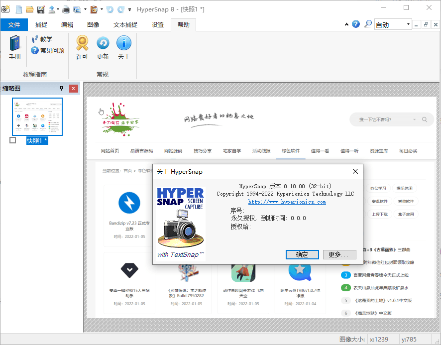 HyperSnap v9.5.2.00便携汉化版