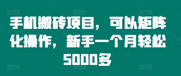 图片[1]-手机搬砖项目，可以矩阵化操作，新手一个月轻松5000多-蛙蛙资源网