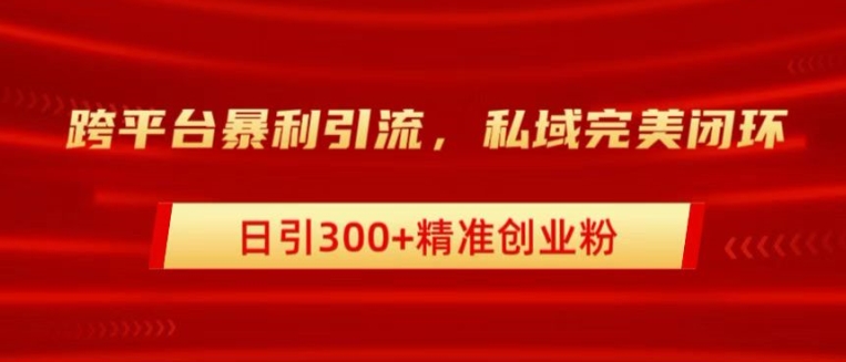 图片[1]-跨平台暴力引流，私域完美闭环，日引100+精准创业粉-蛙蛙资源网