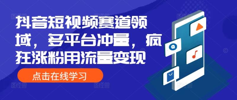 抖音短视频赛道领域 多平台冲量 疯狂涨粉用流量变现-小蜜蜂资源网