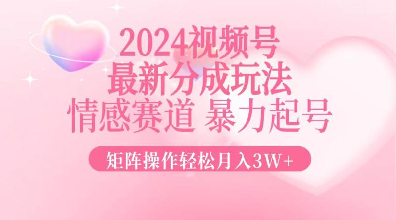 图片[1]-（12922期）2024最新视频号分成玩法，情感赛道，暴力起号，矩阵操作轻松月入3W+-蛙蛙资源网