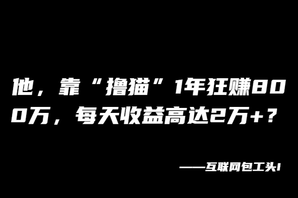他，靠“撸猫”1年狂赚800万，每天收益高达2万+？【广告】