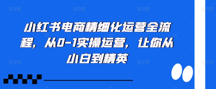 图片[1]-小红书电商精细化运营全流程，从0-1实操运营，让你从小白到精英-蛙蛙资源网