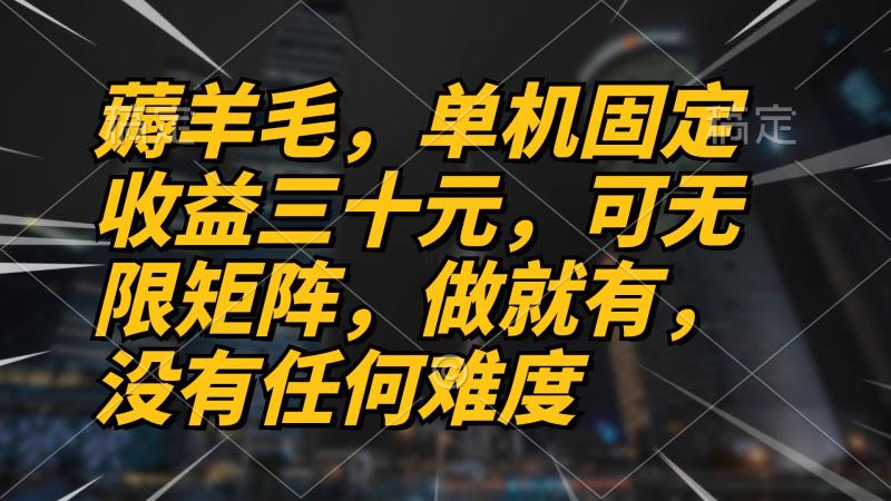 图片[1]-（13162期）薅羊毛项目，单机三十元，做就有，可无限矩阵 无任何难度-蛙蛙资源网