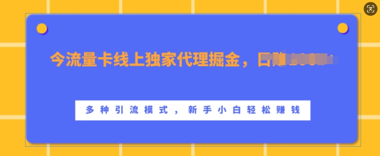 图片[1]-流量卡线上独家代理掘金，日入1k+ ，多种引流模式，新手小白轻松上手【揭秘】-蛙蛙资源网