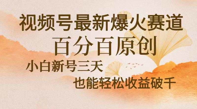 （13225期）视频号最新爆火赛道，中老年粉深信不疑，百分百原创，新号三天收益轻松破千