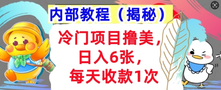 冷门项目撸美金，日入几张，每天收款1次，内部方法，首次公开!