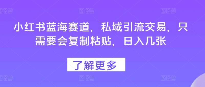 小红书蓝海赛道，私域引流交易，只需要会复制粘贴，日入几张