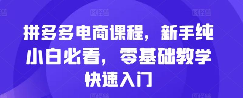 图片[1]-拼多多电商课程，新手纯小白必看，零基础教学快速入门-蛙蛙资源网