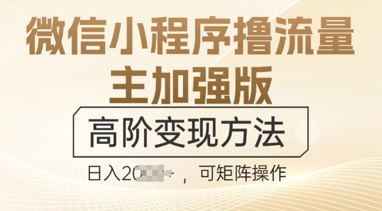 图片[1]-微信小程序撸流量主加强版，高阶变现方法，日收益多张-蛙蛙资源网