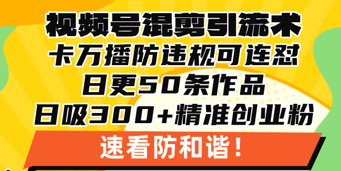 图片[1]-（13400期）视频号混剪引流技术，500万播放引流17000创业粉，操作简单当天学会-蛙蛙资源网