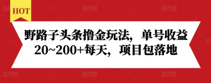 图片[1]-野路子头条撸金玩法，单号收益20~200+每天，项目包落地-蛙蛙资源网